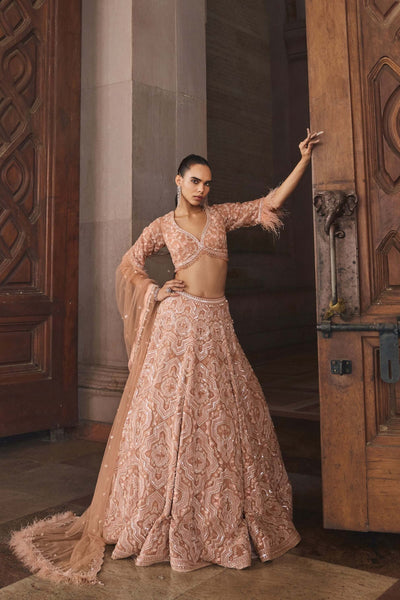 Mud Pink Feather Lehenga Set