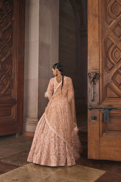 Mud Pink Feather Lehenga Set