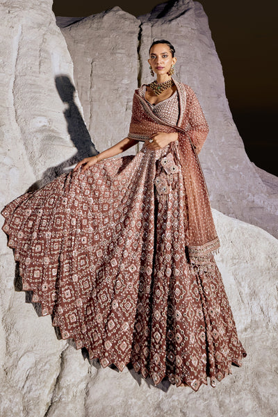 Brick Cinnamon Lehenga Set