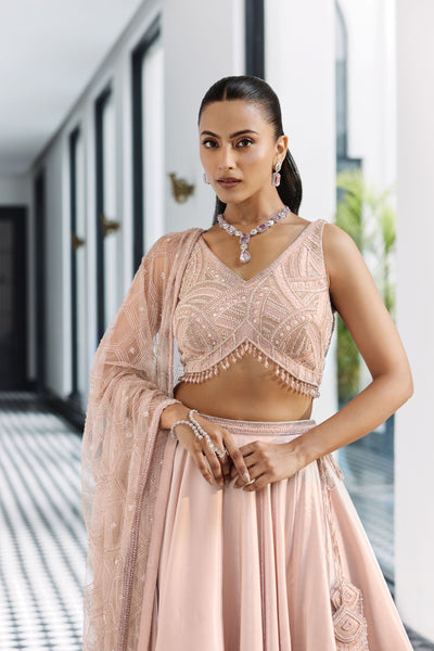 Rosewater Pink Ombre Lehenga Set