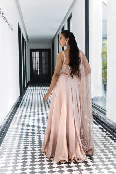 Rosewater Pink Ombre Lehenga Set
