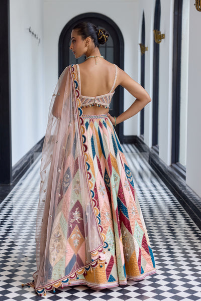 Veiled Rose Silk Lehenga Set